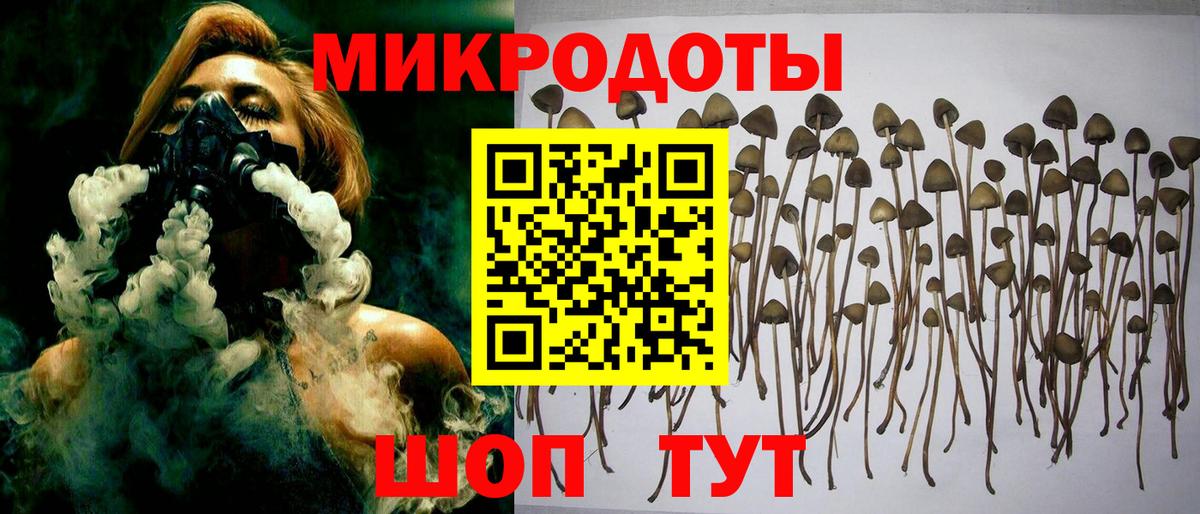 Щёлково  Псилоцибиновые грибы Magic Shrooms  купить закладку  Вход с VPN 